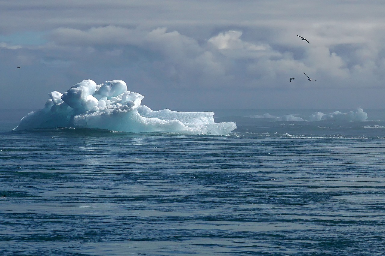The Impact of Climate Change on Global Biodiversity